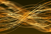 An abstract image of glowing yellow twisting fillaments