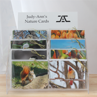 Nature cards by Judy-Ann Cazemier