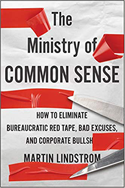 The Ministry of Common Sense Book Cover