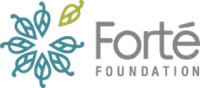 Learn more about the Forte Foundation fellows program