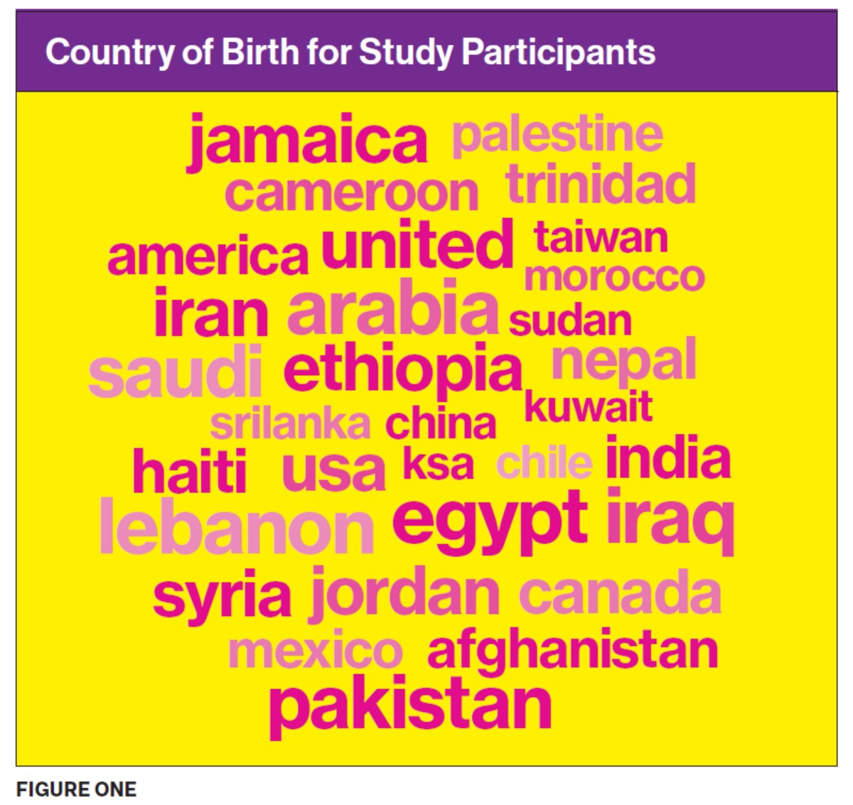 Country of Birth Study Participants